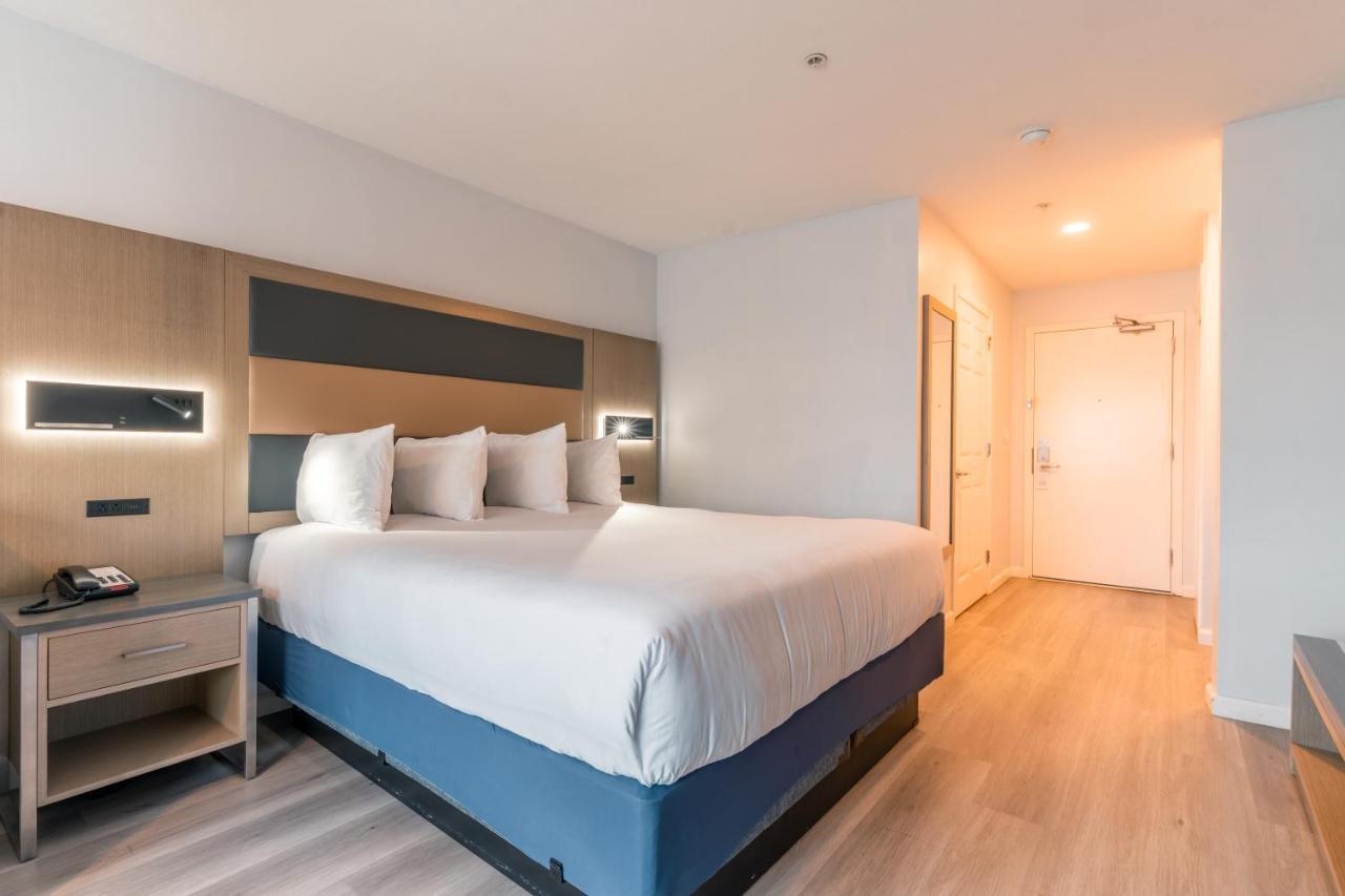Hotel Aluxor Sfo, Sapphire Boutique Collection 圣布鲁诺 外观 照片