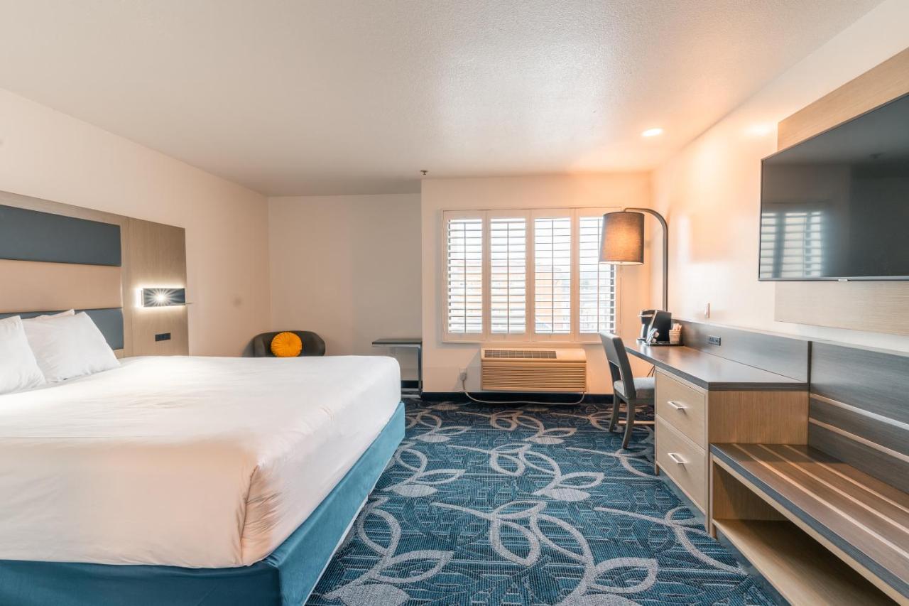 Hotel Aluxor Sfo, Sapphire Boutique Collection 圣布鲁诺 外观 照片
