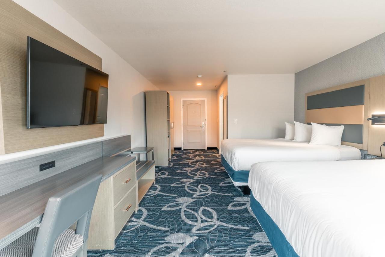 Hotel Aluxor Sfo, Sapphire Boutique Collection 圣布鲁诺 外观 照片
