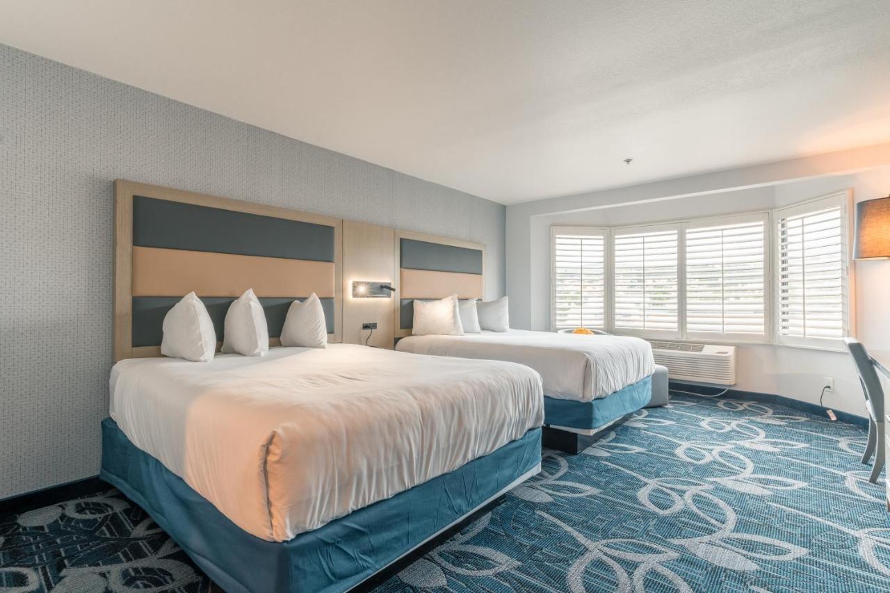 Hotel Aluxor Sfo, Sapphire Boutique Collection 圣布鲁诺 外观 照片